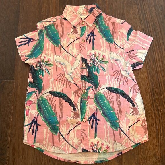 Next (English Brand) resort set. 2-3T NWT - Picture 5 of 8